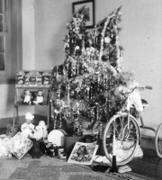 Cedar Christmas tree, Bermuda, 1940