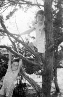 David Wallace Macky and Peter Wallace Macky climbing a tree, 1940