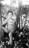Peter Wallace Macky in a tree, 5th birthday, 1942