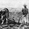 Agriculture has not Greatly Advanced Since the Inca Era
