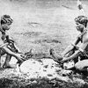 Dayak Youths Engrossed in a Cocking-Main
