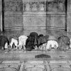 Followers of the Prophet of Allah Worshipping in the Great Mosque at Delhi