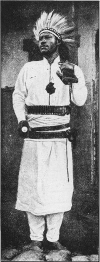 Mane-Crowned Lion Killer