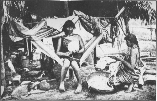 Balling Cotton in a Settlement of Venezuelan Aborigines