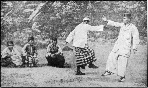 Stately Measured Movements of Malay Dance