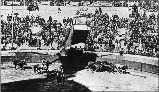 Ingenious Device to Soothe the Infuriated Temper of the Fighting Bull