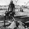 Warramunga Burial in White Ant-Hill for Reincarnation